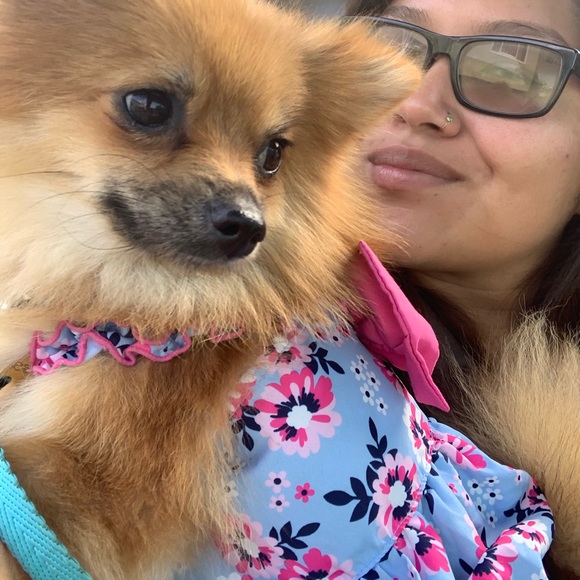 Meet your Posher, Sandy or Sunny - Picture 3 of 4